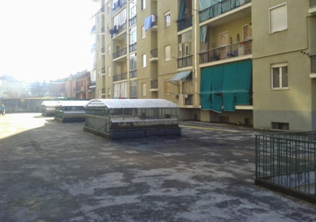IMG-20241201-WA0023